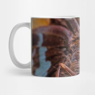 Happy Butterfly Macro Photograph Mug